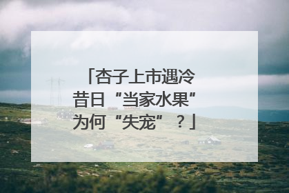 杏子上市遇冷 昔日“当家水果”为何“失宠”？