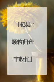 杞县：颗粒归仓丰收忙