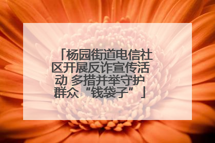 杨园街道电信社区开展反诈宣传活动 多措并举守护群众“钱袋子”