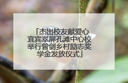 杰出校友献爱心 宜宾翠屏孔滩中心校举行曾剑乡村励志奖学金发放仪式