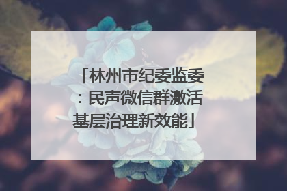 林州市纪委监委：民声微信群激活基层治理新效能