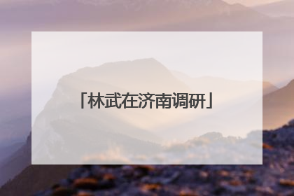 林武在济南调研
