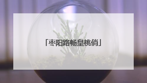 枣阳路畅皇桃俏