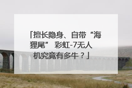 擅长隐身、自带“海狸尾” 彩虹-7无人机究竟有多牛？