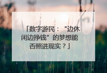 数字游民：“边休闲边挣钱”的梦想能否照进现实？