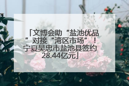 文博会助“盐池优品”对接“湾区市场”！宁夏吴忠市盐池县签约28.44亿元