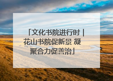 文化书院进行时｜花山书院促新景 凝聚合力促善治