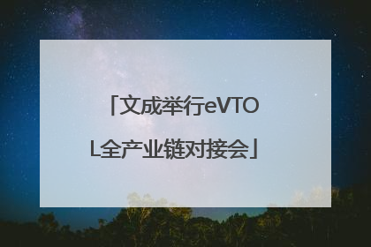 文成举行eVTOL全产业链对接会