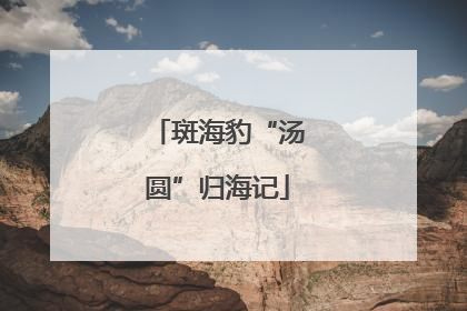斑海豹“汤圆”归海记