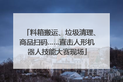 料箱搬运、垃圾清理、商品扫码……直击人形机器人技能大赛现场