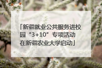 新疆就业公共服务进校园“3+10”专项活动在新疆农业大学启动