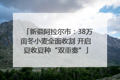 新疆阿拉尔市：38万亩冬小麦全面收割 开启夏收夏种“双重奏”