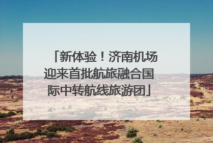 新体验！济南机场迎来首批航旅融合国际中转航线旅游团