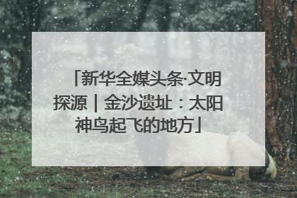 新华全媒头条·文明探源｜金沙遗址：太阳神鸟起飞的地方