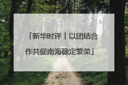 新华时评丨以团结合作共促南海稳定繁荣