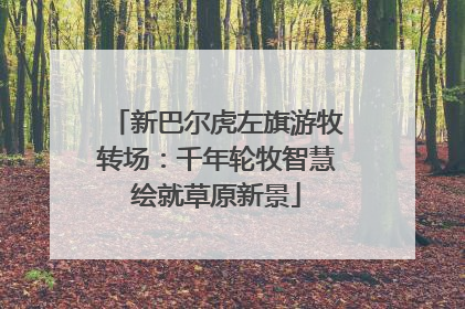 新巴尔虎左旗游牧转场：千年轮牧智慧绘就草原新景