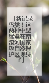 新记录鸟类！这两种中型猛禽在南滚河国家级自然保护区现身了
