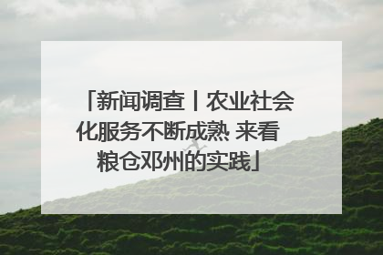 新闻调查丨农业社会化服务不断成熟 来看粮仓邓州的实践