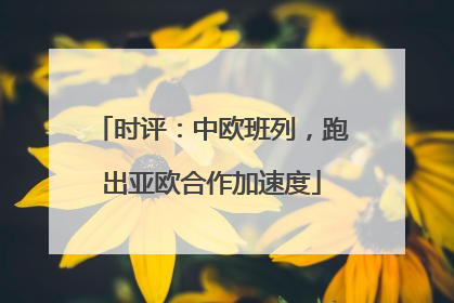 时评：中欧班列，跑出亚欧合作加速度