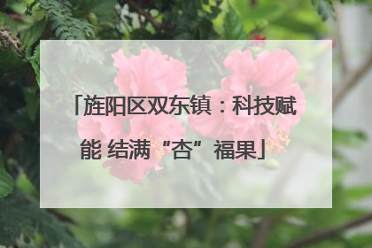 旌阳区双东镇：科技赋能 结满“杏”福果