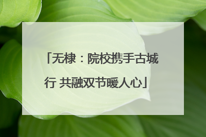 无棣：院校携手古城行 共融双节暖人心