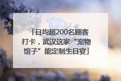 日均超200名顾客打卡，武汉这家“宠物馆子”能定制生日宴