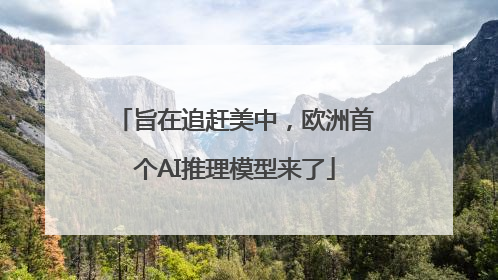 旨在追赶美中，欧洲首个AI推理模型来了
