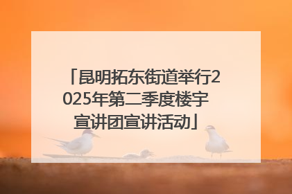 昆明拓东街道举行2025年第二季度楼宇宣讲团宣讲活动