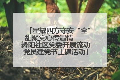 星耀四方守安“全” 甜聚党心传温情——舞阳社区党委开展流动党员建党节主题活动