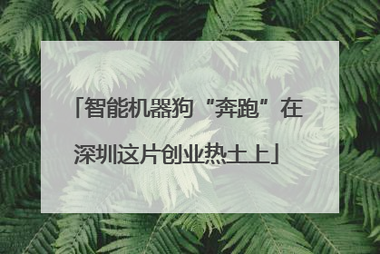 智能机器狗“奔跑”在深圳这片创业热土上