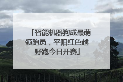 智能机器狗成最萌领跑员，平阳红色越野跑今日开赛