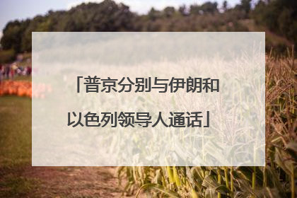 普京分别与伊朗和以色列领导人通话