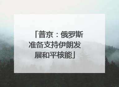 普京：俄罗斯准备支持伊朗发展和平核能