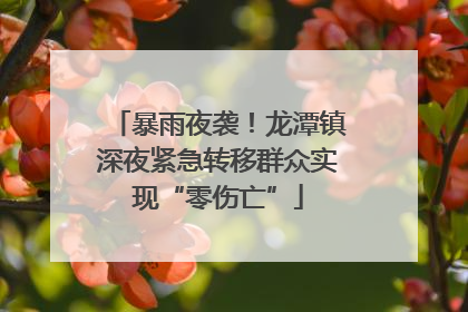 暴雨夜袭！龙潭镇深夜紧急转移群众实现“零伤亡”