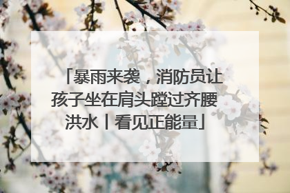 暴雨来袭，消防员让孩子坐在肩头蹚过齐腰洪水丨看见正能量