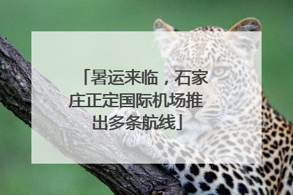 暑运来临，石家庄正定国际机场推出多条航线