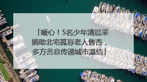 暖心！5名少年清晨采摘助北宅孤寡老人售杏，多方善意传递城市温情
