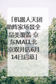 机器人天团助阵家场景全品类覆盖 京东MALL北京双井店6月14日启幕