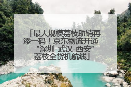最大规模荔枝助销再添一码！京东物流开通“深圳-武汉-西安” 荔枝全货机航线