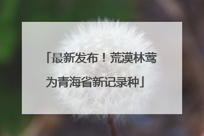 最新发布！荒漠林莺为青海省新记录种