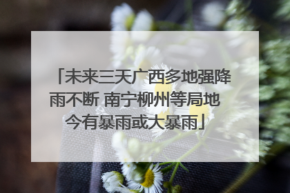 未来三天广西多地强降雨不断 南宁柳州等局地今有暴雨或大暴雨