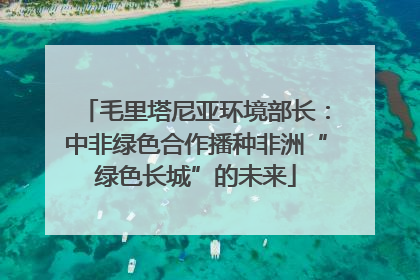 毛里塔尼亚环境部长：中非绿色合作播种非洲“绿色长城”的未来