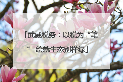 武威税务：以税为“笔” 绘就生态别样绿