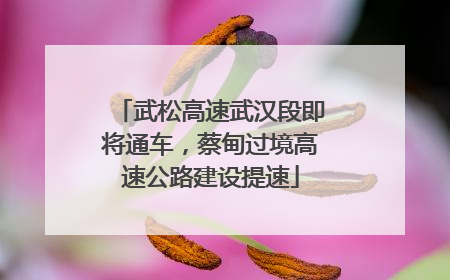 武松高速武汉段即将通车，蔡甸过境高速公路建设提速