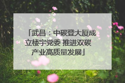 武昌：中碳登大厦成立楼宇党委 推进双碳产业高质量发展