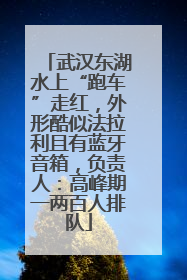 武汉东湖水上“跑车”走红，外形酷似法拉利且有蓝牙音箱，负责人：高峰期一两百人排队