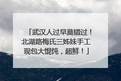 武汉人过早莫错过！北湖路梅氏三姊妹手工现包大馄饨，超鲜！