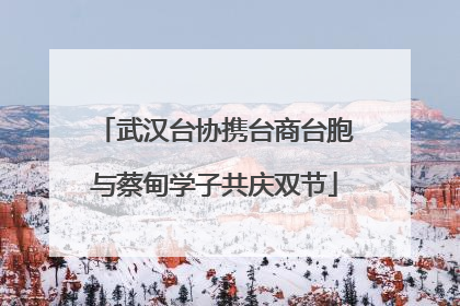 武汉台协携台商台胞与蔡甸学子共庆双节