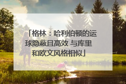格林：哈利伯顿的运球隐蔽且高效 与库里和欧文风格相似