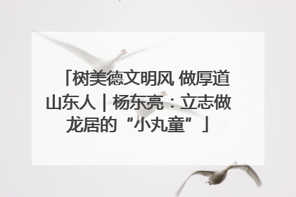 树美德文明风 做厚道山东人｜杨东亮：立志做龙居的“小丸童”